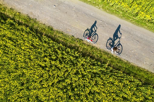 Pneu De Vélo Soldes -Pneu De Vélo Soldes aerial view of bicycle shadows on the empty asphalt road between rapeseed field